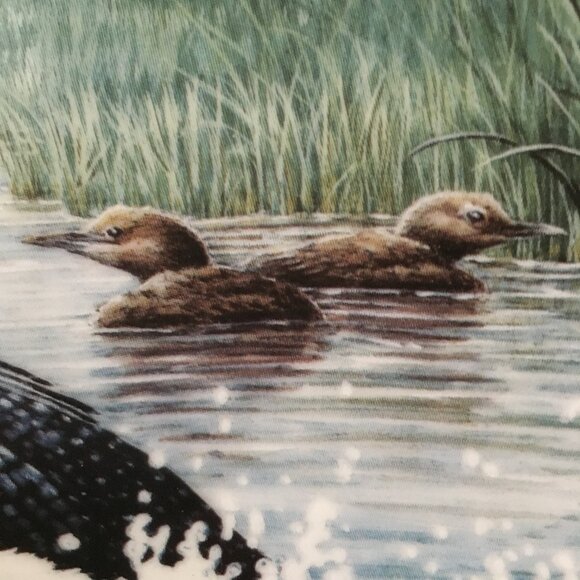 2/$40 Voice of the North Decorative Plate 'Time To Fly' Don Li-Leger - Picture 2 of 8